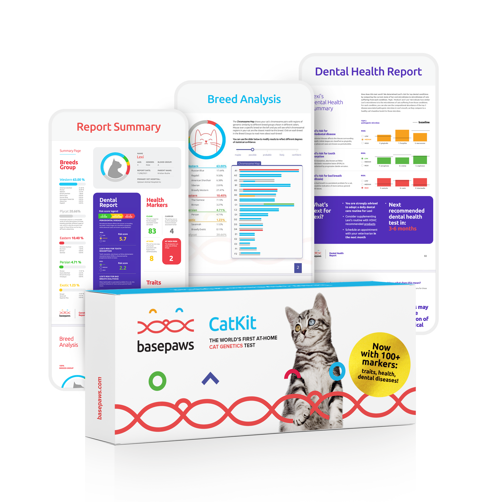 Genetic Health Markers & Blood Type Screening.