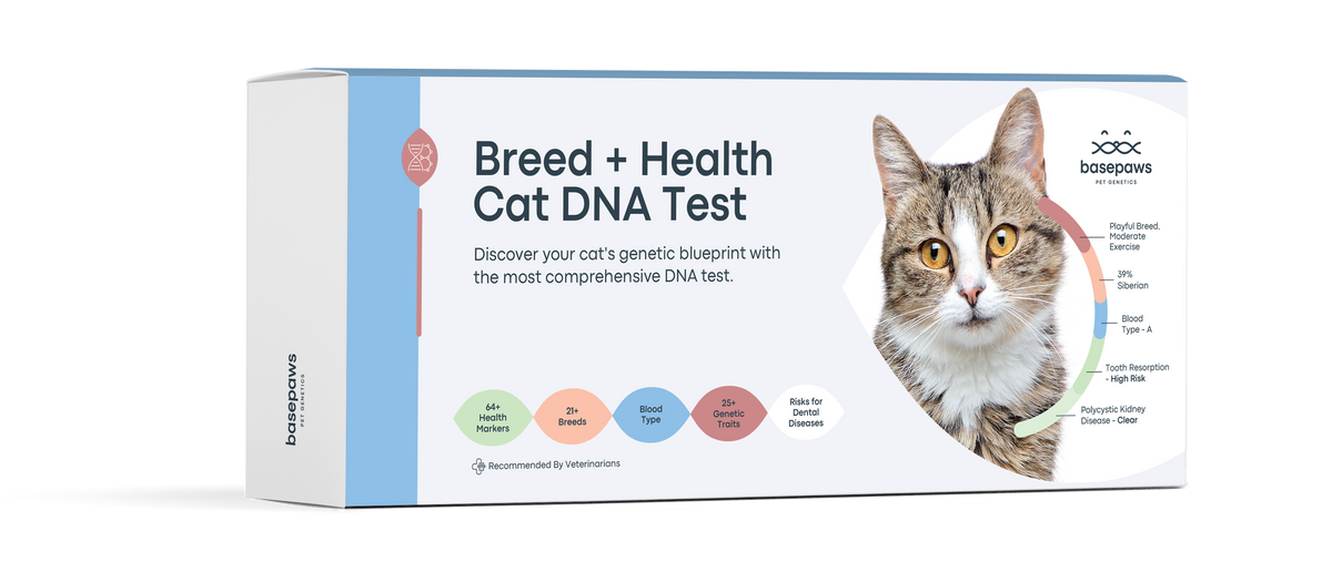 Breed + Health Cat DNA Test