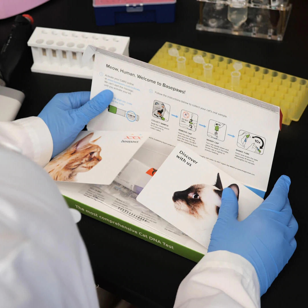 Early detection to improve pet health outcomes