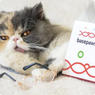 Shop our tests