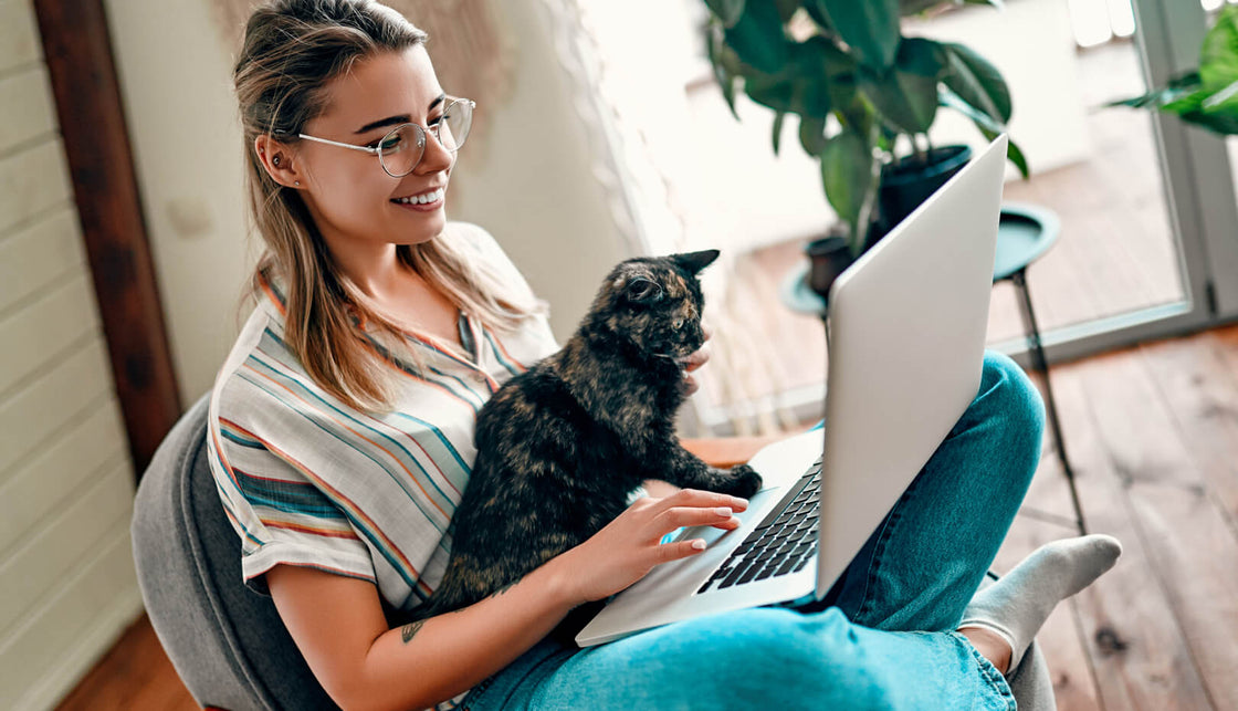 Why thousands of cat parents say this is the best money they've ever spent on their pet