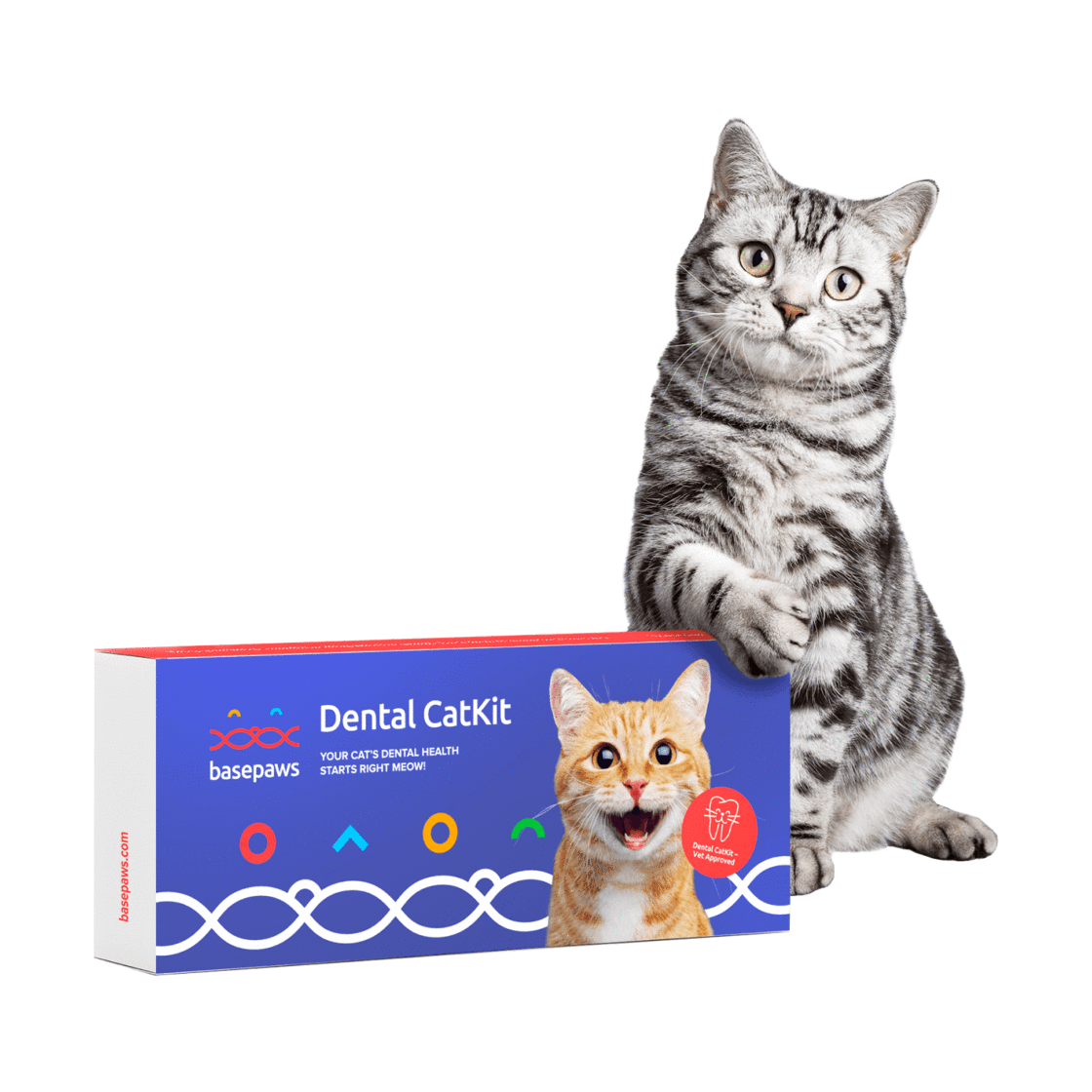Keep your cat’s dental care top-of-mind by making at-home care a priority!