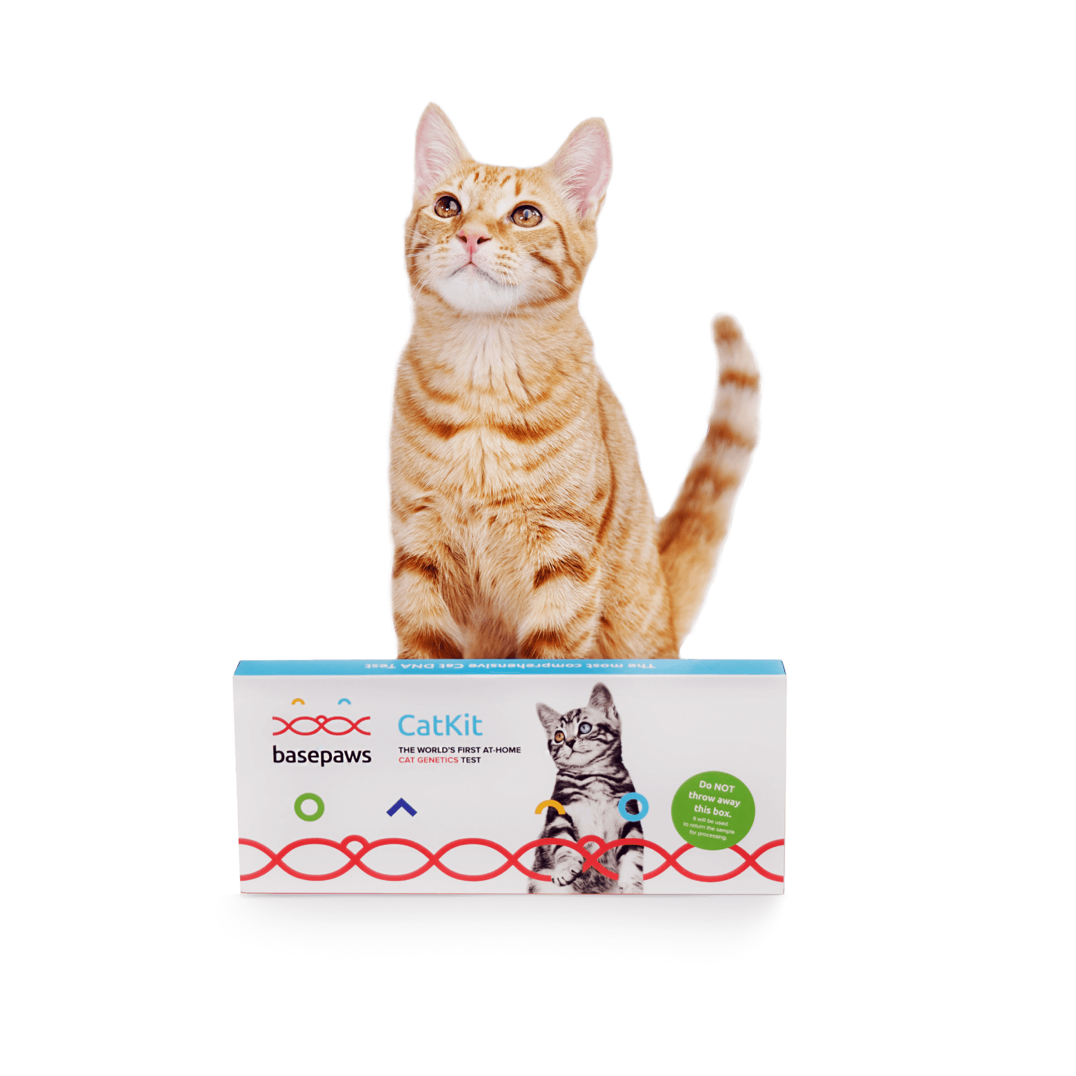 Keep your cat's wellness top-of-mind by making at-home care a priority!