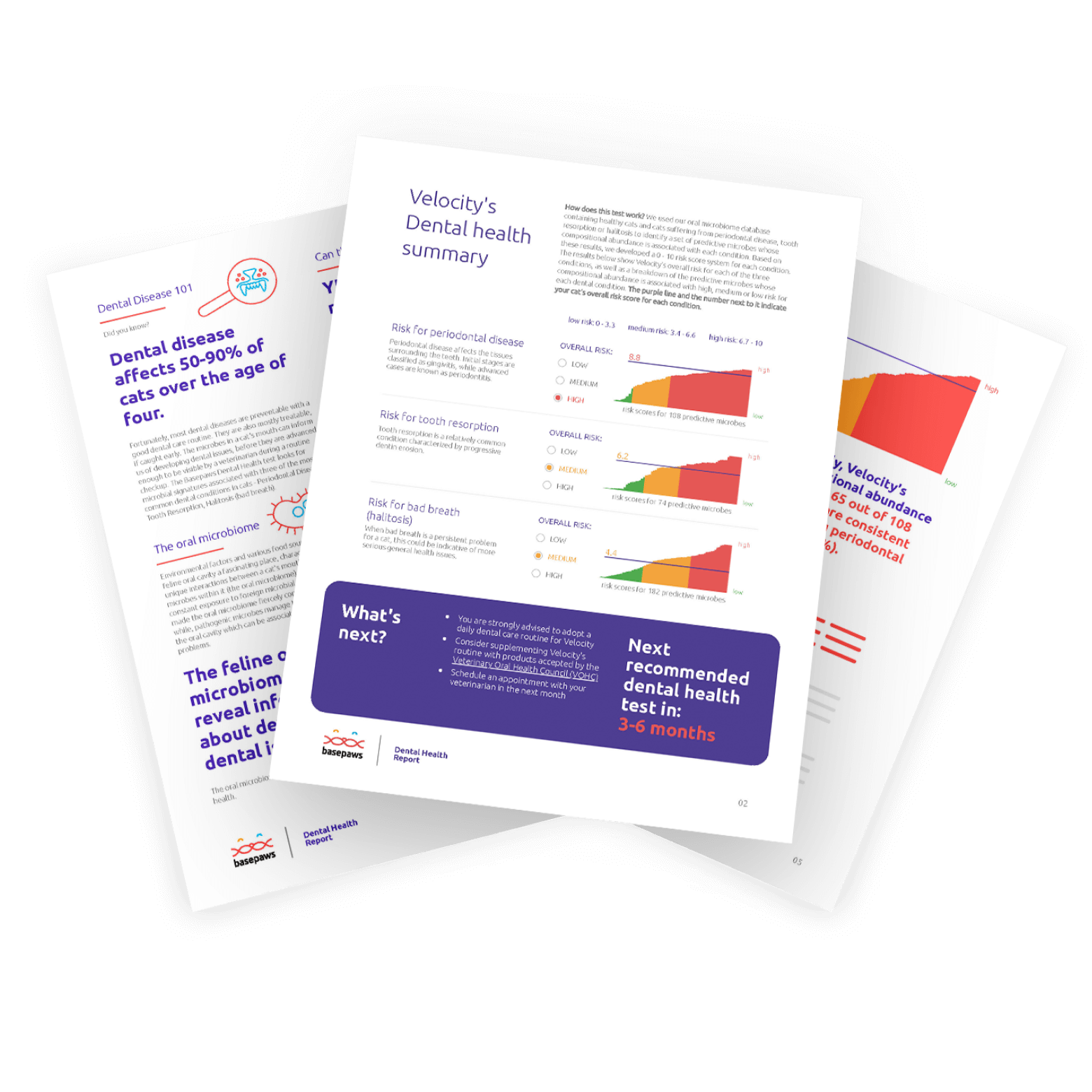 Easy, clear results delivered to your email