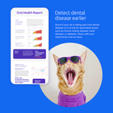 Load image into Gallery viewer, Breed + Health Cat DNA Test
