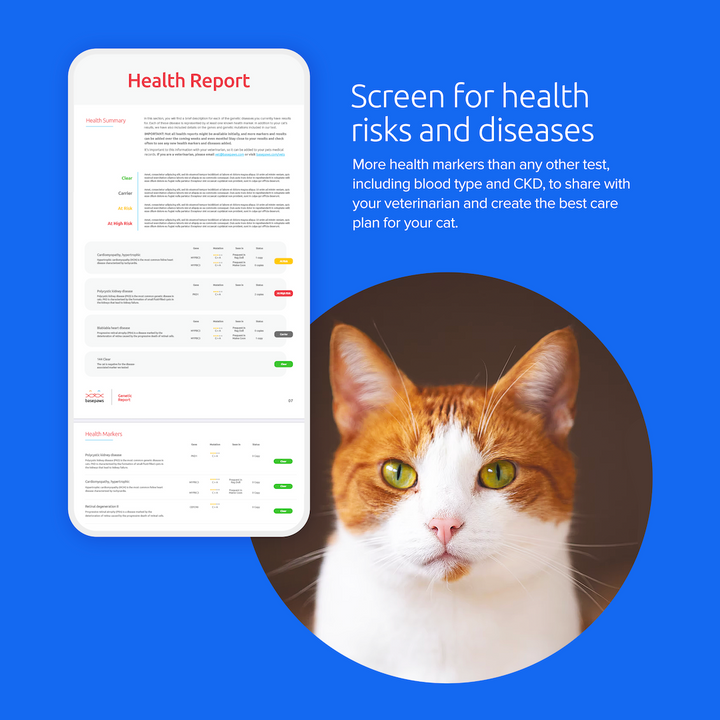 Breed + Health Cat DNA Test