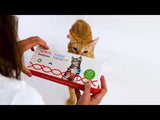 Load image into Gallery viewer, Breed + Health Cat DNA Test
