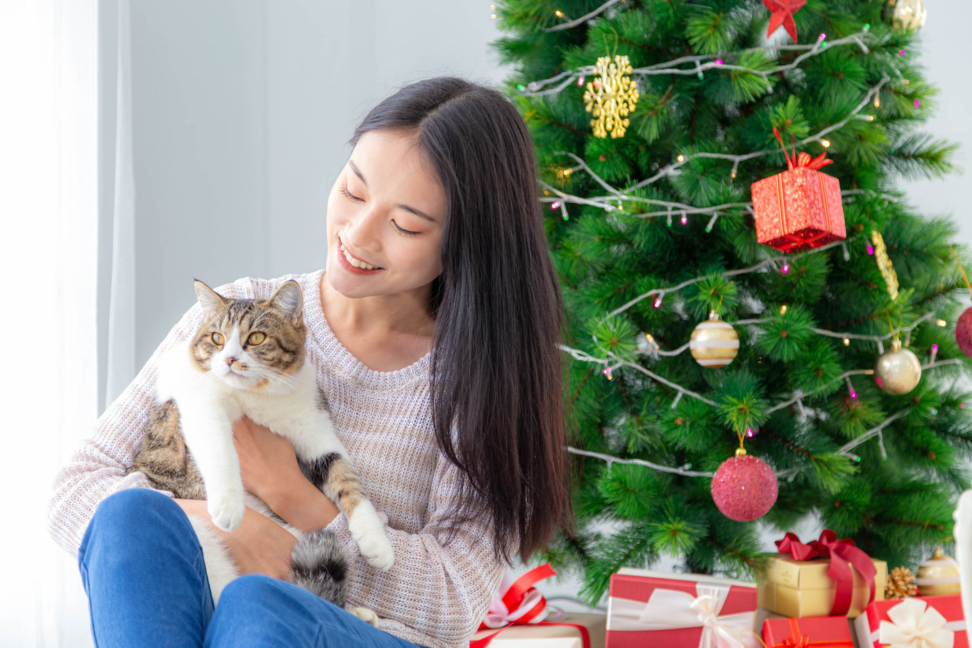 Top 10 Christmas Gifts for Cats of 2021