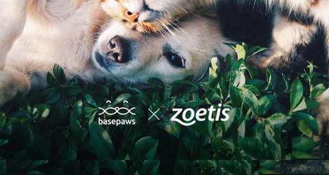 Basepaws Proudly Joins Global Animal Health Leader Zoetis