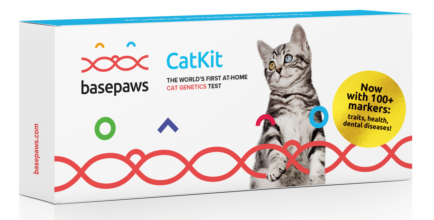 Basepaws Updates its Breed + Health Cat DNA Test