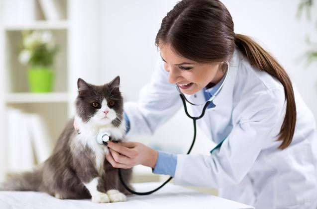 Coronavirus: How to Protect Your Pets (and Your People)