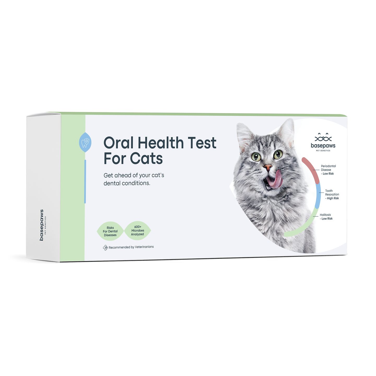 Oral Health Test for Cats