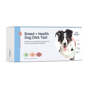 Breed + Health Dog DNA Test