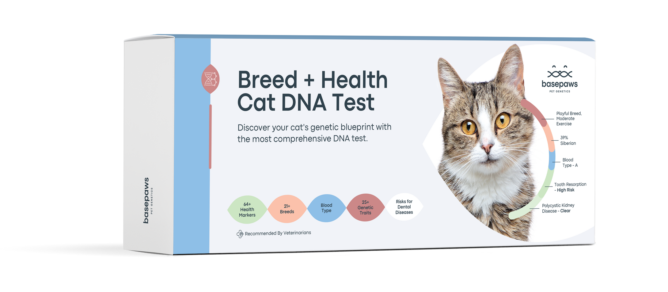 10 Cat DNA Tests