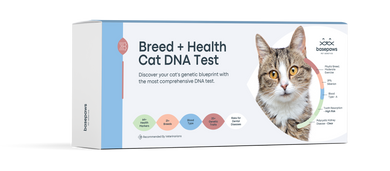 Breed + Health Cat DNA Test Upgrade