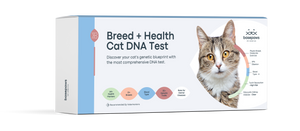 Breed + Health Cat DNA Test Upgrade (7156524449989)