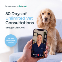 Load image into Gallery viewer, Online Vet Consultation