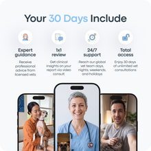 Load image into Gallery viewer, Online Vet Consultation