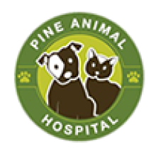 Current Research Partners