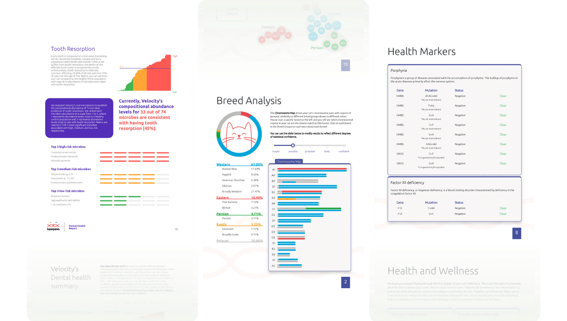 Easy, clear results delivered to your email