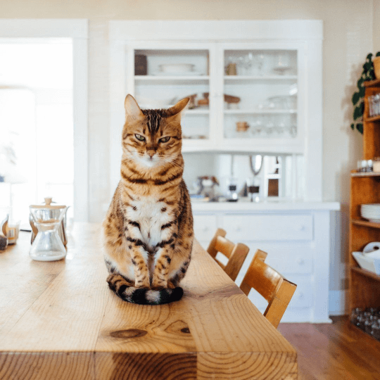 Let Their Genome Do the Talking.