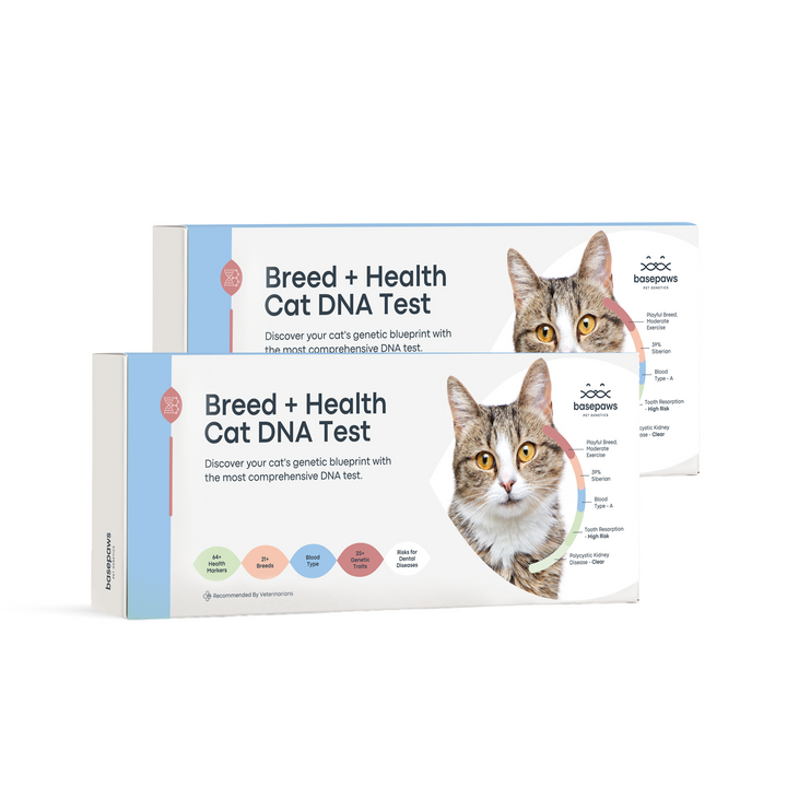Breed and Health Cat DNA 2-Test Bundle