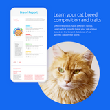 Load image into Gallery viewer, Breed + Health Cat DNA Test