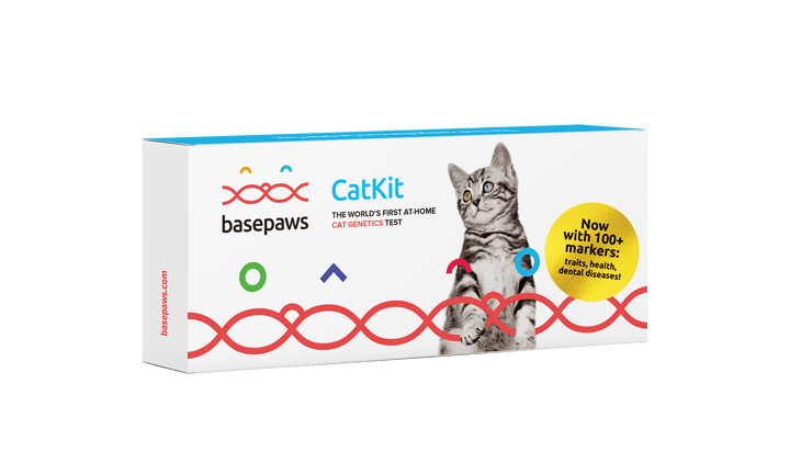 Breed + Health Cat DNA Test Upgrade