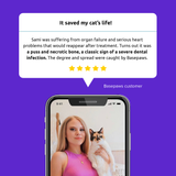 Load image into Gallery viewer, Oral Health Test for Cats