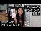 Load image into Gallery viewer, Breed + Health Cat DNA Test